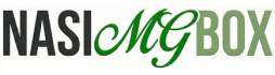 nasi mg box
